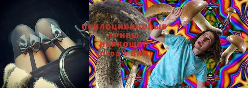 Галлюциногенные грибы Magic Shrooms  Горняк 